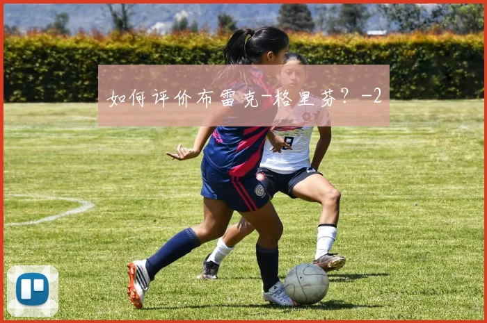 如何评价布雷克-格里芬？