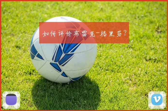 如何评价布雷克-格里芬？