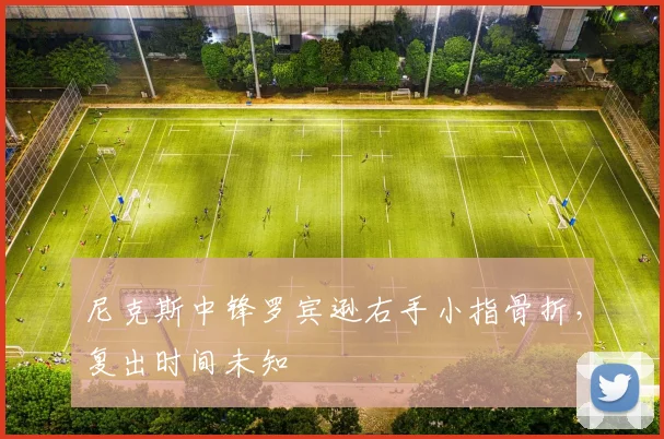 尼克斯中锋罗宾逊右手小指骨折，复出时间未知